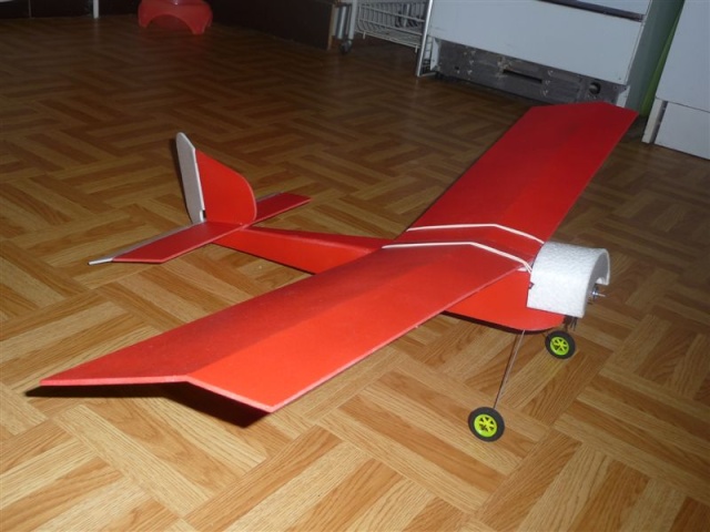 LE BARON ou Morane Saulnier Type H. P1060918