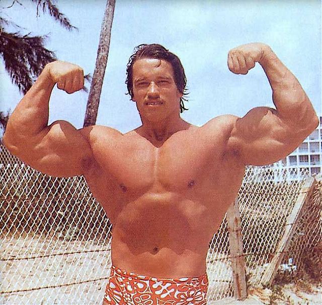 Arnold Schwarzenegger - Page 19 Arnold10