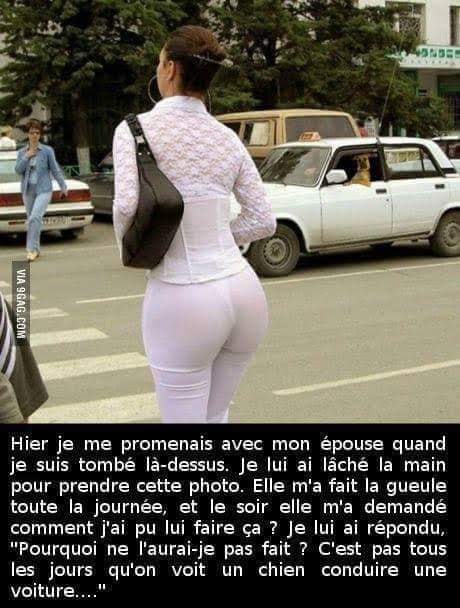 Humour en image du Forum Passion-Harley  ... - Page 22 24025310