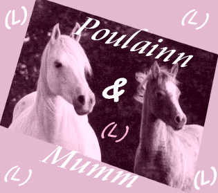 Poulain & Mumm. Dadou10
