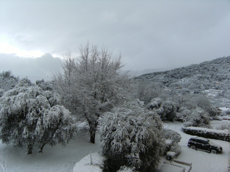 Alpes-Maritimes 2: Grasse sous la neige, février 2010 1310