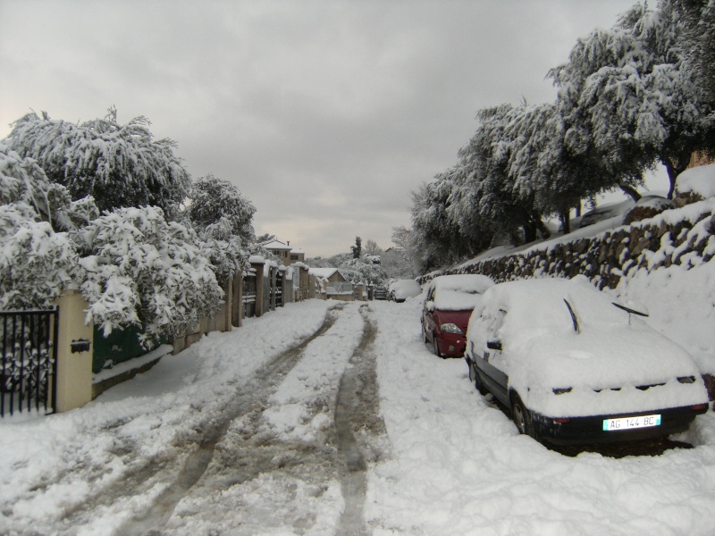 Alpes-Maritimes 2: Grasse sous la neige, février 2010 1610