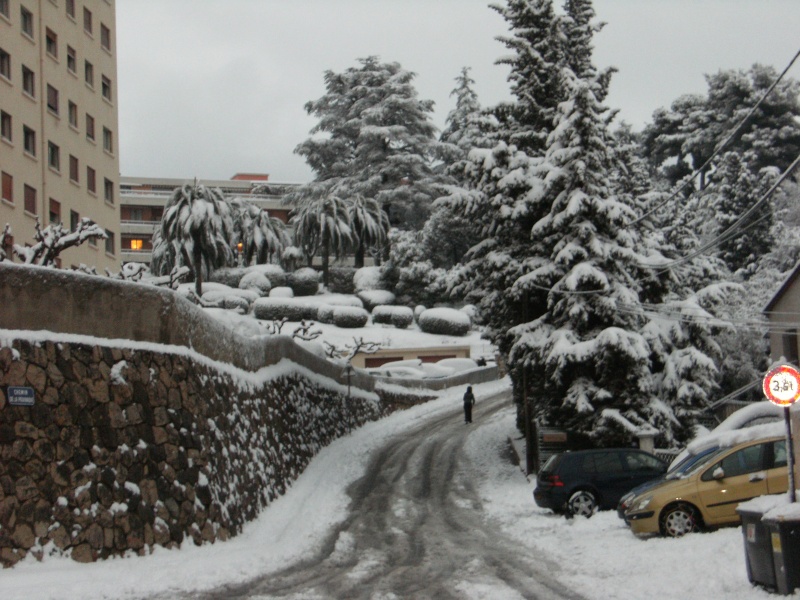 Alpes-Maritimes 2: Grasse sous la neige, février 2010 2610