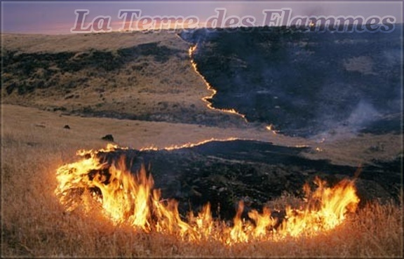 La Terre des Flammes Terre_10