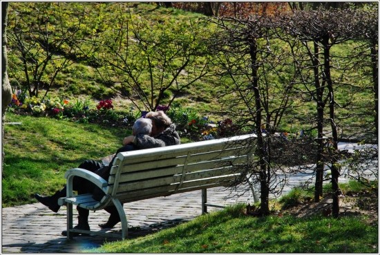 Demeures d'artistes: les jardins de Giverny, chez Claude Monnet Printe10