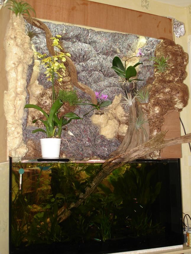 aquaterrarium ou mur végétal Amaz_110