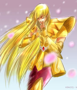 FANARTS DU GOLD VIERGE Shakaj10