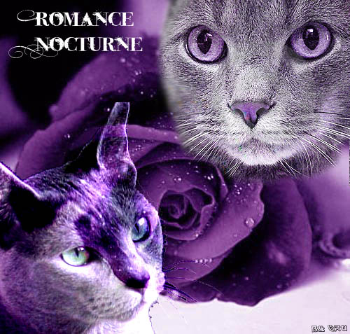 Romance Nocturne Romanc10