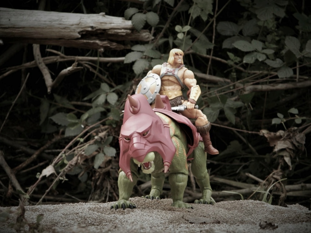 Masters Of The Universe Masterverse Photos 24583610