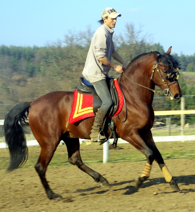 Horse.jenny: Ix'el & Vaïna Chevau10