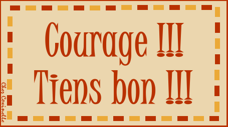 C\'est ici qu\'on se présente et qu\'on discute - Tome 23 - Page 3 Courag11