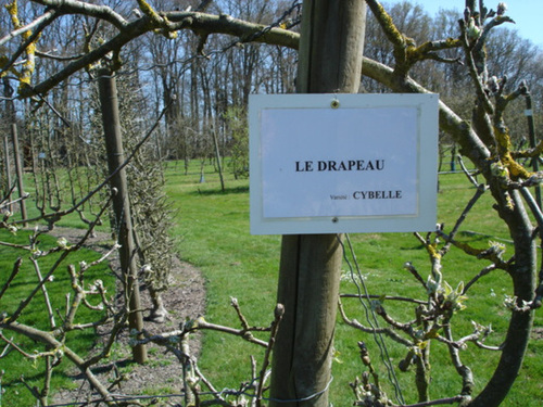 verger des Jardins de Brocéliande, Bréal-sous-Monfort 5810