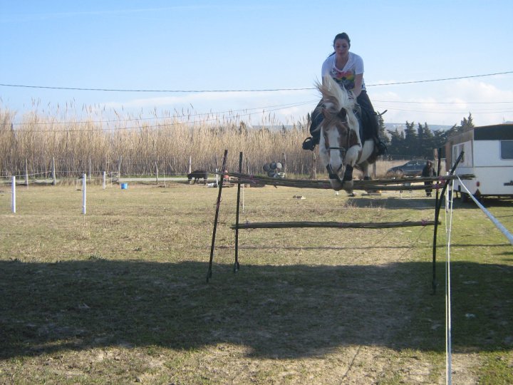 Concour photo Novembre (Clos) Cheyen10