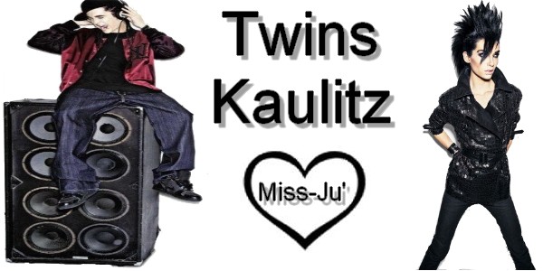 Mes "montages" Twins_11