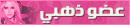 عضو ذهبي عضو ذهبي
