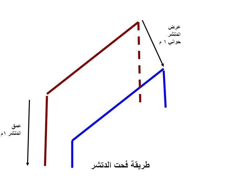 شاهد مزرعة مانجو كيت عمر 3 سنوات Oousu_10