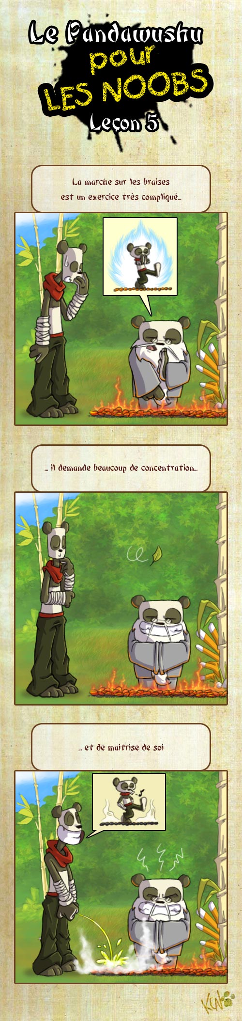 Le Pandawashu pour les noobs (partie 1) Pandaw14