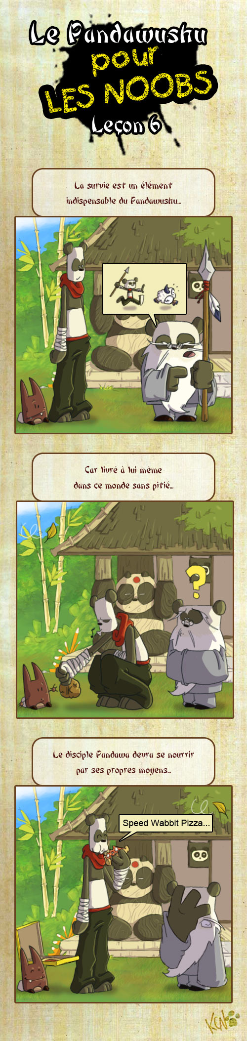 Le Pandawashu pour les noobs (partie 1) Pandaw15