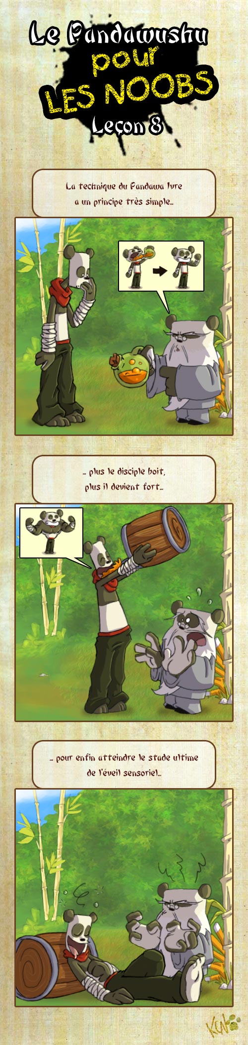 Le Pandawashu pour les noobs (partie 1) Pandaw17