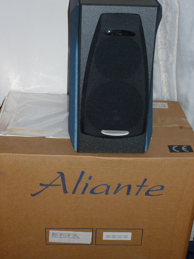 Aliante Stile speaker (Demo set) P1000816