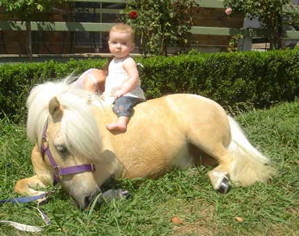 foto pony!!! Pony-r10