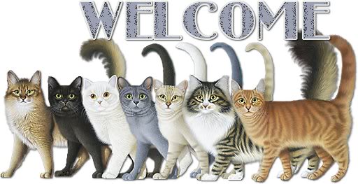 Welcome Tags Btag2510