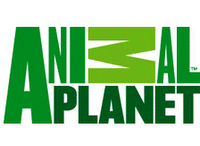 Animal Planet - Games Newani10