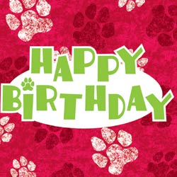 Happy Birthday Bentley Puppy-10