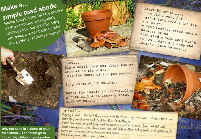 How To - Create a Toad Abode Toadab11