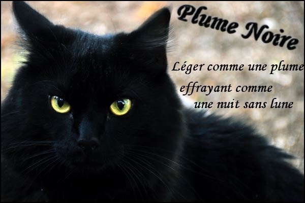 Plume Noire - Guerrier - Libre Plume_10