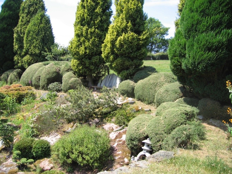 Gardening with Gorse. 02412