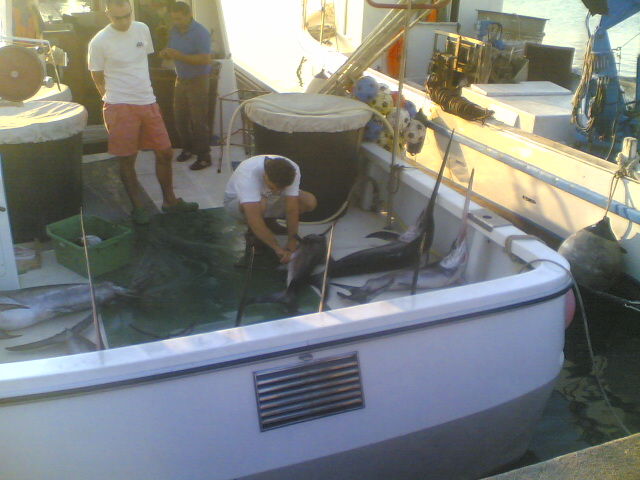 pesca e mare (capitano!!!!!:-) ) 28092014