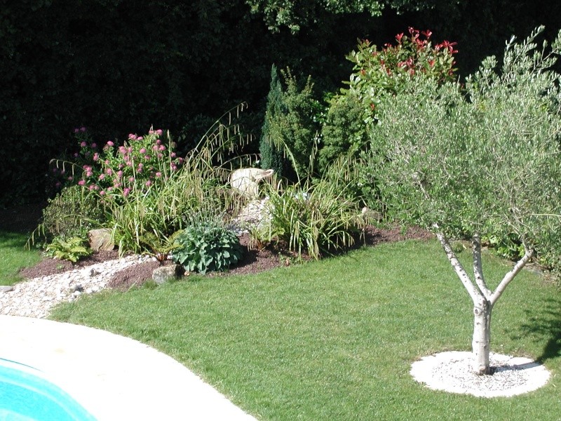 Olivia, Escawat, Isoplan, Marbella, Echangeur, Projecteur, Plage, Jardin : C'est terminé ! P6260021