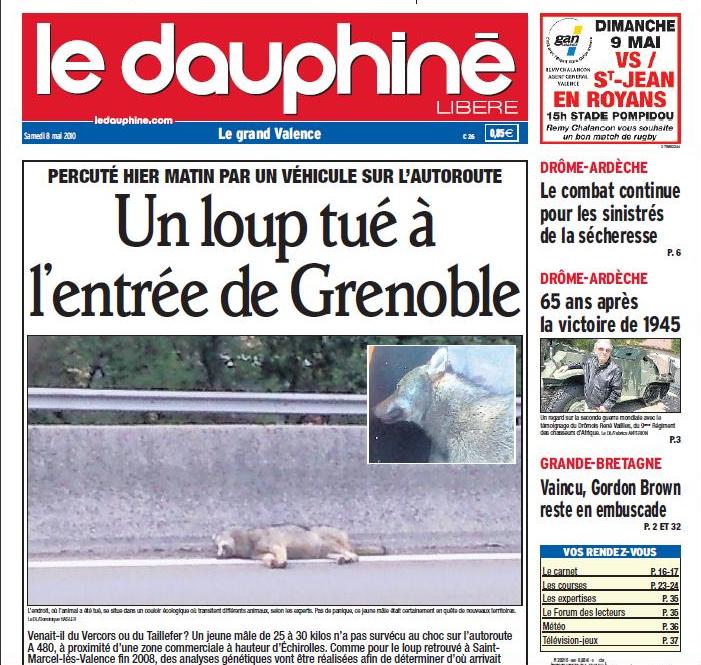 Les loups en Drôme Le_lou10