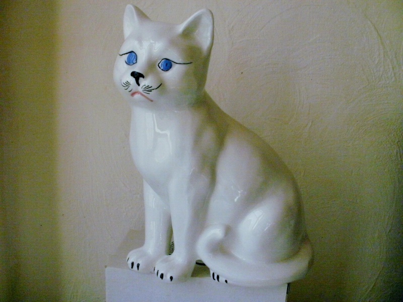 chat blanc Pa030018