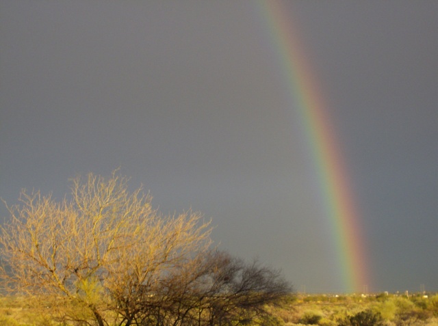 Snowy Sunset in the Desert Rainbo10