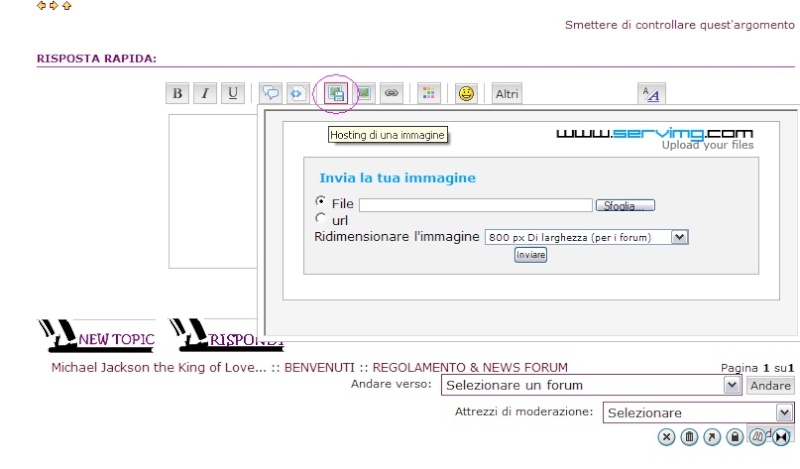 REGOLAMENTO DEL FORUM  1_bmp13