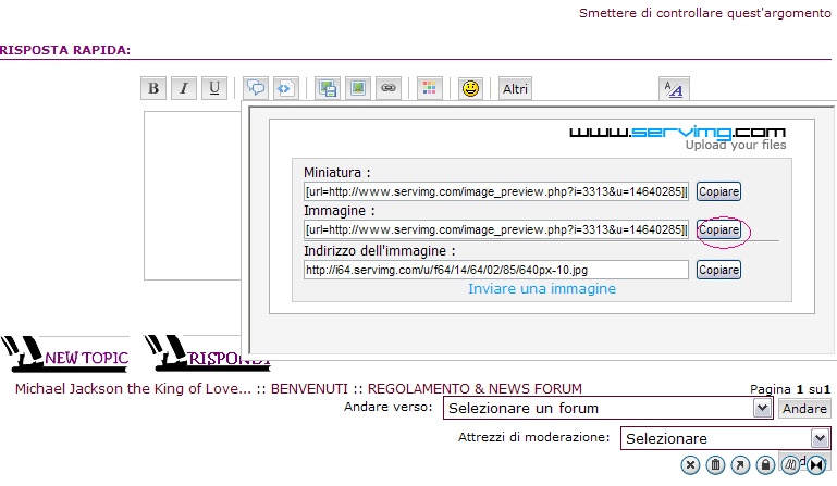 REGOLAMENTO DEL FORUM  4_bmp10