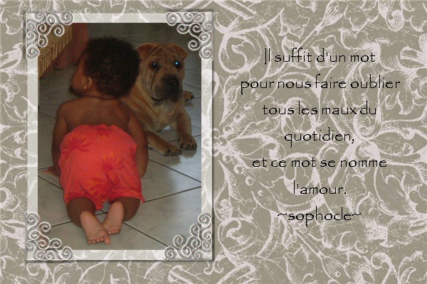 Votes concours n°21 01_fab10