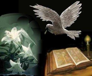 Trois exemples pour comprendre la "Divine Volonté" ! Bible110