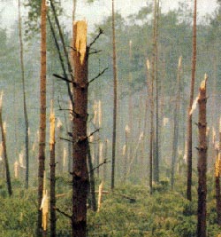 HAARP ! L'ARME ULTIME DES ETATS-UNIS France10