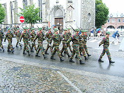 Armée terre belge 250px-13