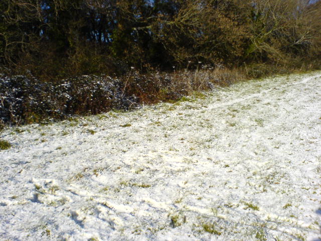 Snow Camouflage Dsc02126