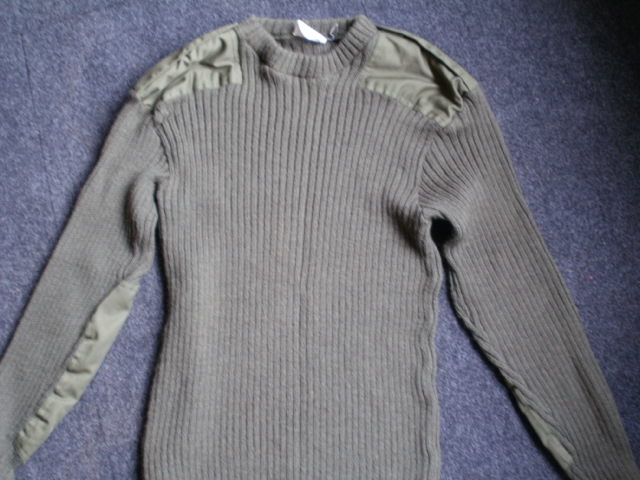  Jersey ( Wooly jumper !!) P3180019