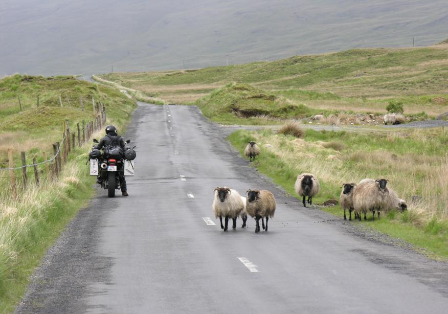 Road trip – Irlande et Tourist Trophy 2010 sur l ile de man… 110