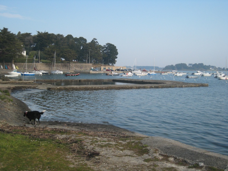 SUPER SPOT SUR LE GOLFE DU MORBIHAN Img_0013