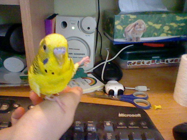 Riki! :D Riki11