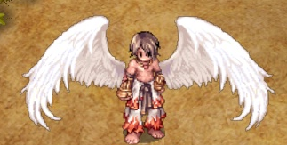 Non-donation custom wing images and descriptions Arcang10