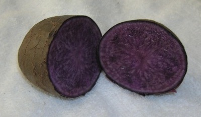 Purple Potatoes Bluesp11