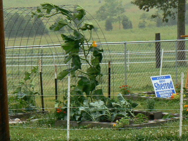 Building a trellis Varies14